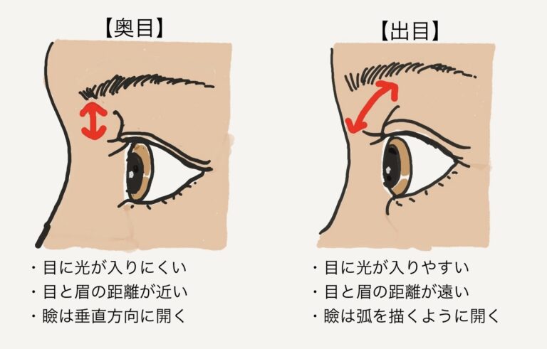 奥目図解