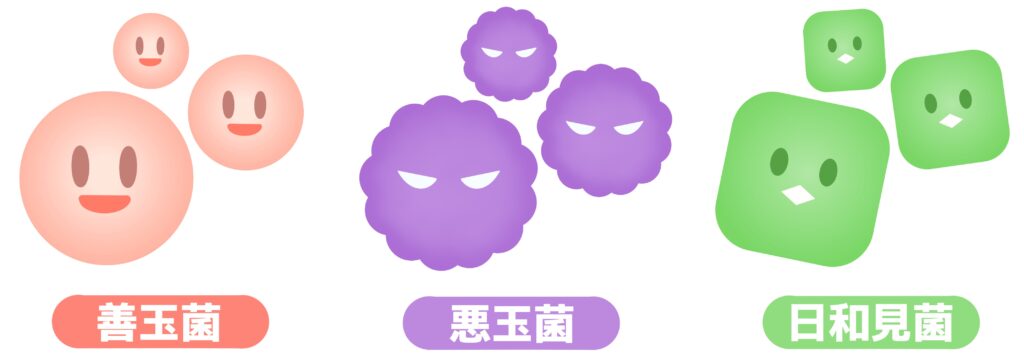 日和見菌