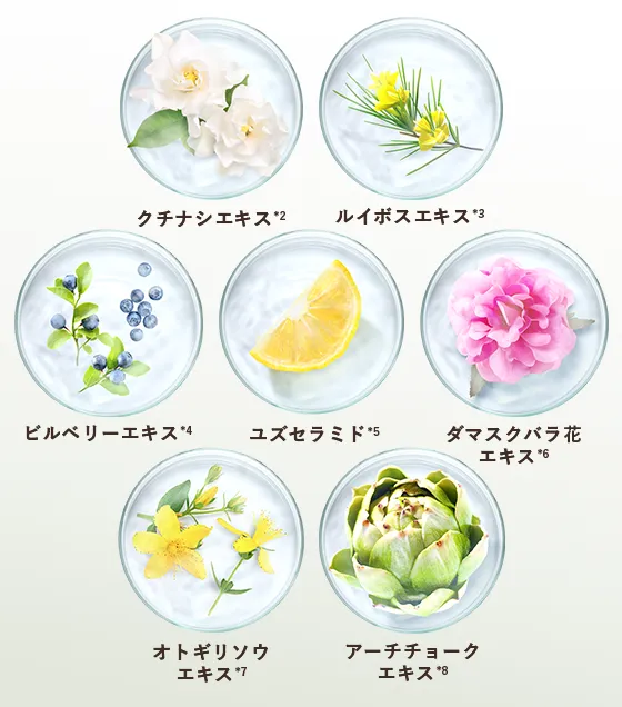ポーラー引用